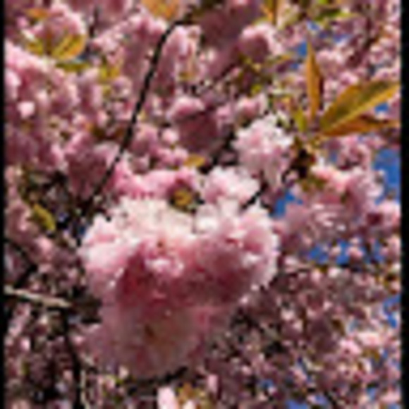 jjmart_26
